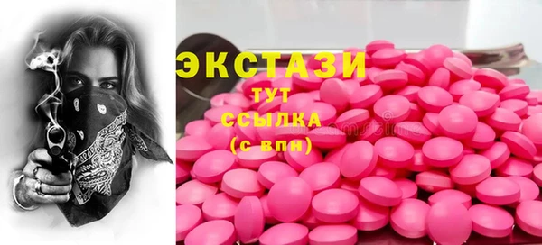 индика Арсеньев