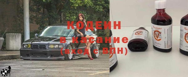 индика Арсеньев