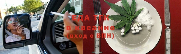 индика Арсеньев