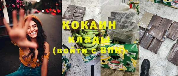 шишки Армянск