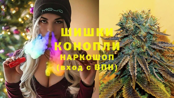 шишки Армянск