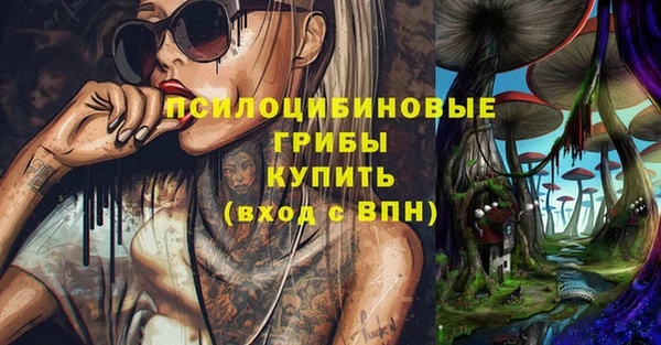 PSILOCYBIN Алексеевка