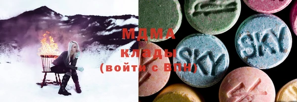 индика Арсеньев