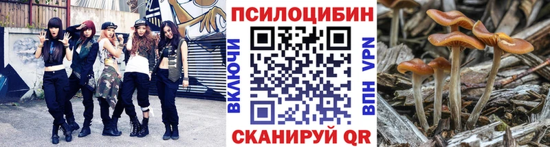 дарнет шоп  Муром  Псилоцибиновые грибы ЛСД 